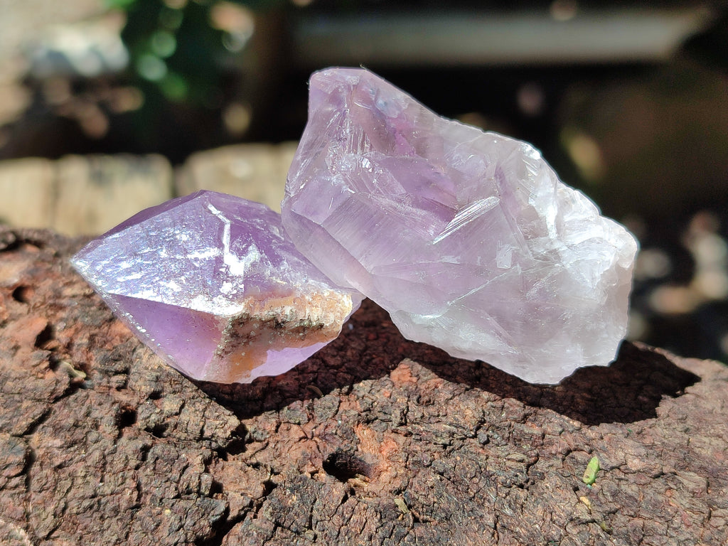 Natural Jacaranda Amethyst Quartz Crystals x 35 From Mumbwa, Zambia - Toprock Gemstones and Minerals 