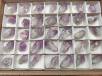 Natural Jacaranda Amethyst Quartz Crystals x 35 From Mumbwa, Zambia - Toprock Gemstones and Minerals 