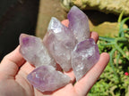 Natural Jacaranda Amethyst Quartz Crystals x 35 From Mumbwa, Zambia - Toprock Gemstones and Minerals 