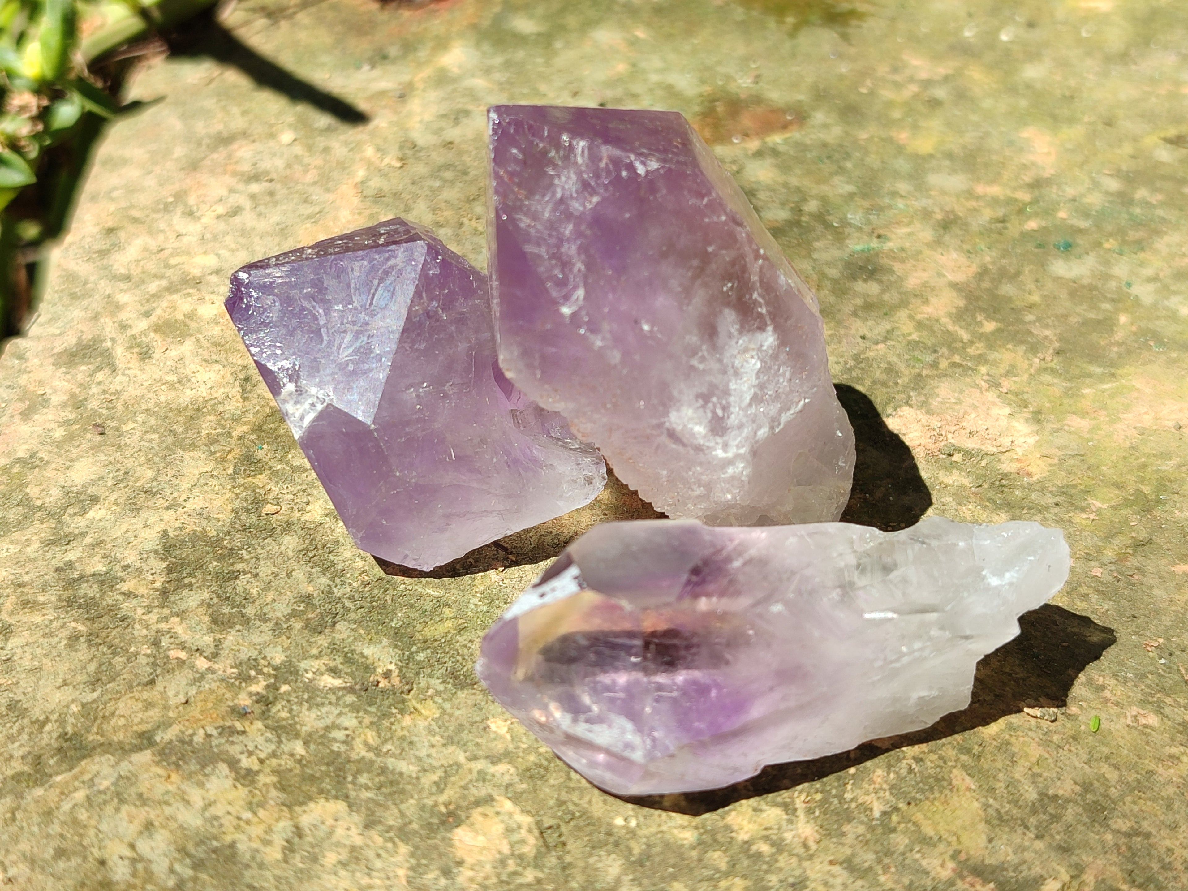 Natural Jacaranda Amethyst Quartz Crystals x 35 From Mumbwa, Zambia - Toprock Gemstones and Minerals 