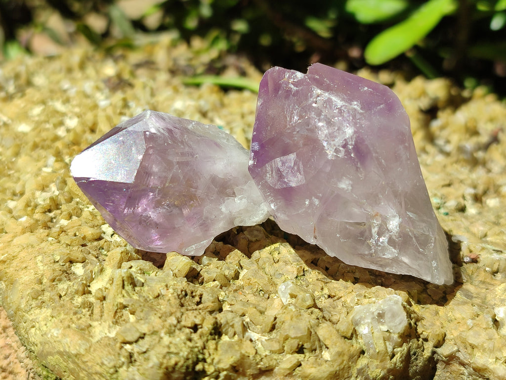 Natural Jacaranda Amethyst Quartz Crystals x 35 From Mumbwa, Zambia - Toprock Gemstones and Minerals 