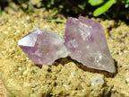 Natural Jacaranda Amethyst Quartz Crystals x 35 From Mumbwa, Zambia - Toprock Gemstones and Minerals 