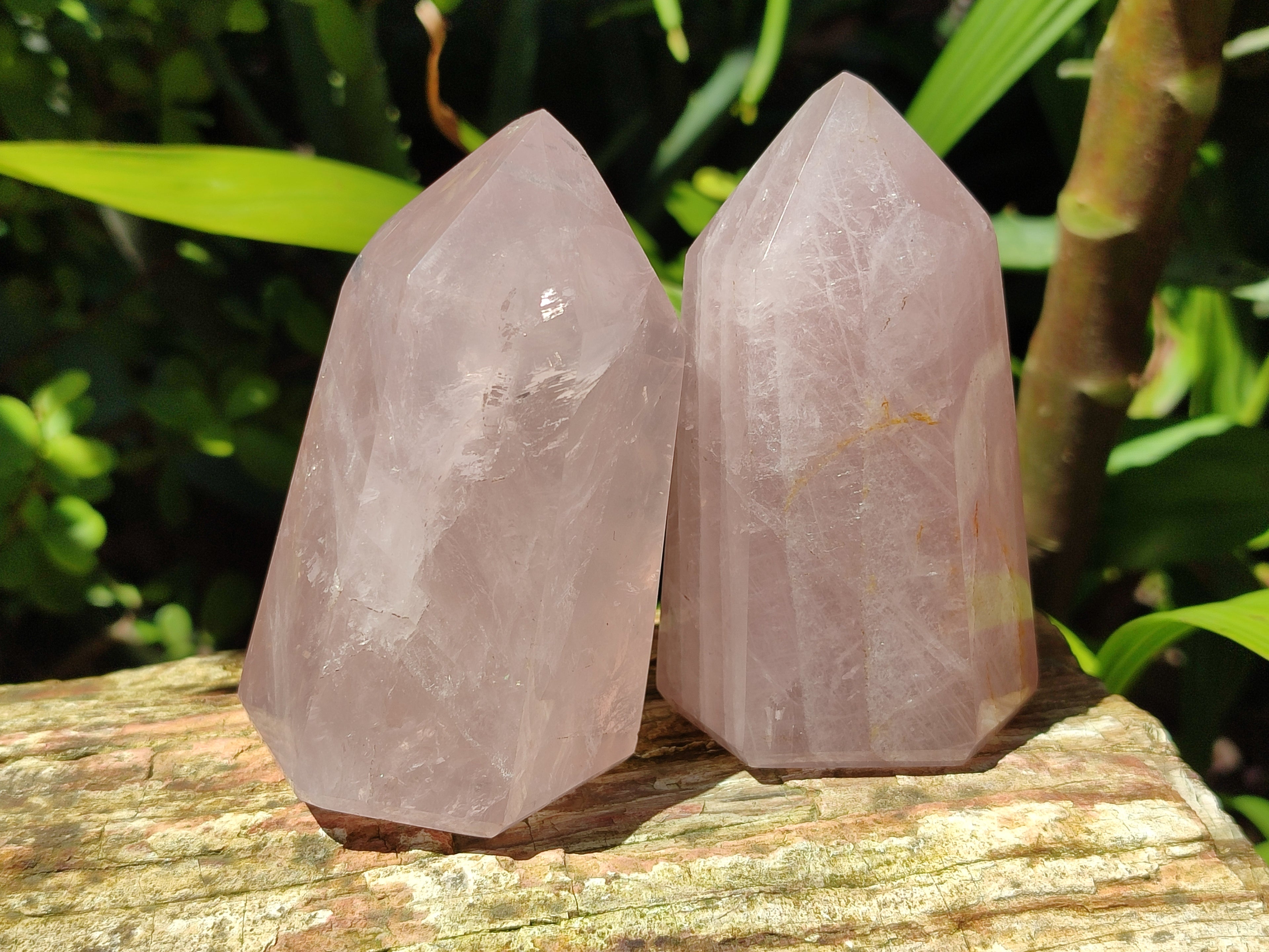 Polished Rose Quartz Crystal Points x 6 From Ambatondrazaka, Madagascar - Toprock Gemstones and Minerals 