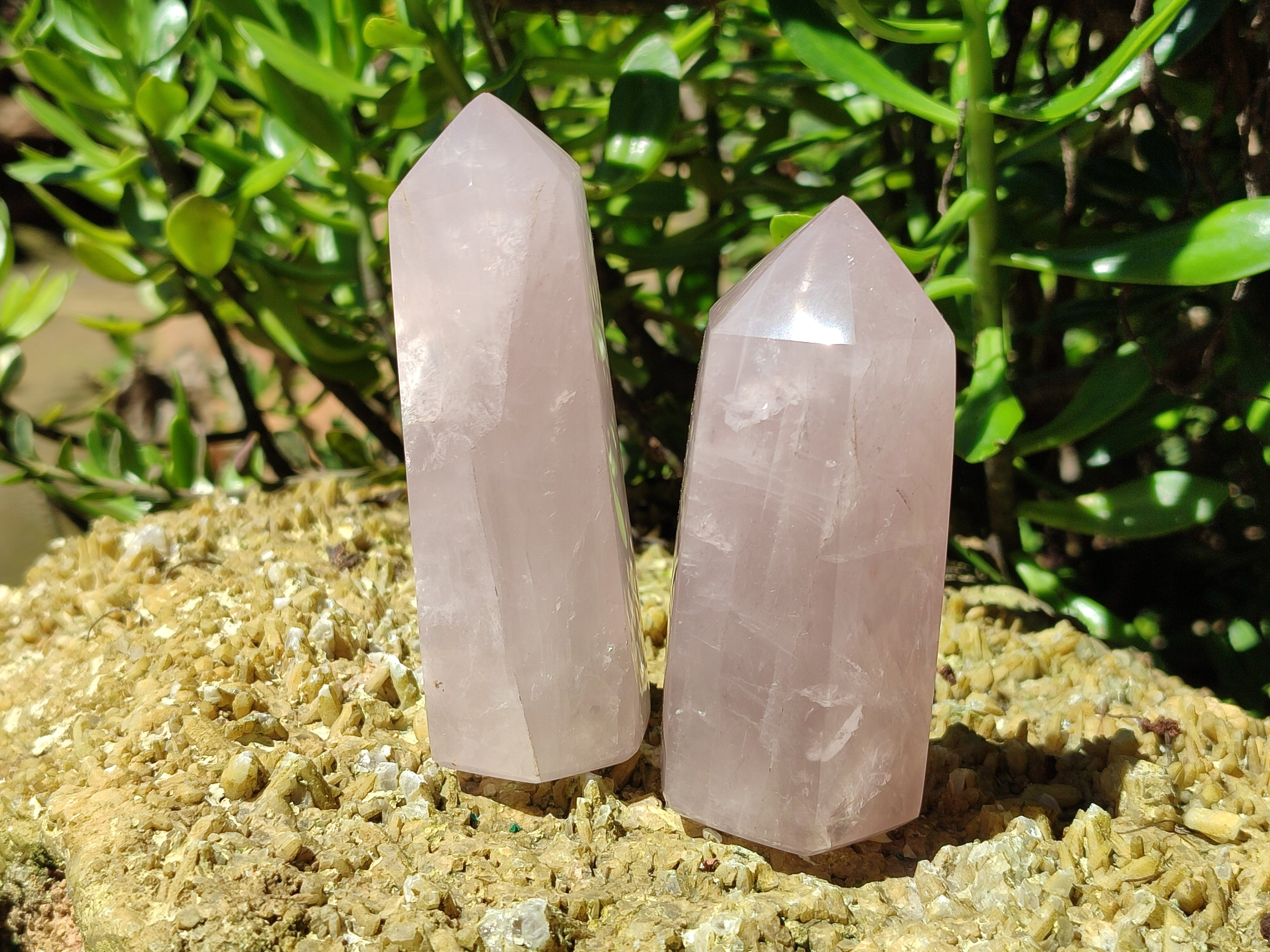 Polished Rose Quartz Crystal Points x 6 From Ambatondrazaka, Madagascar - Toprock Gemstones and Minerals 