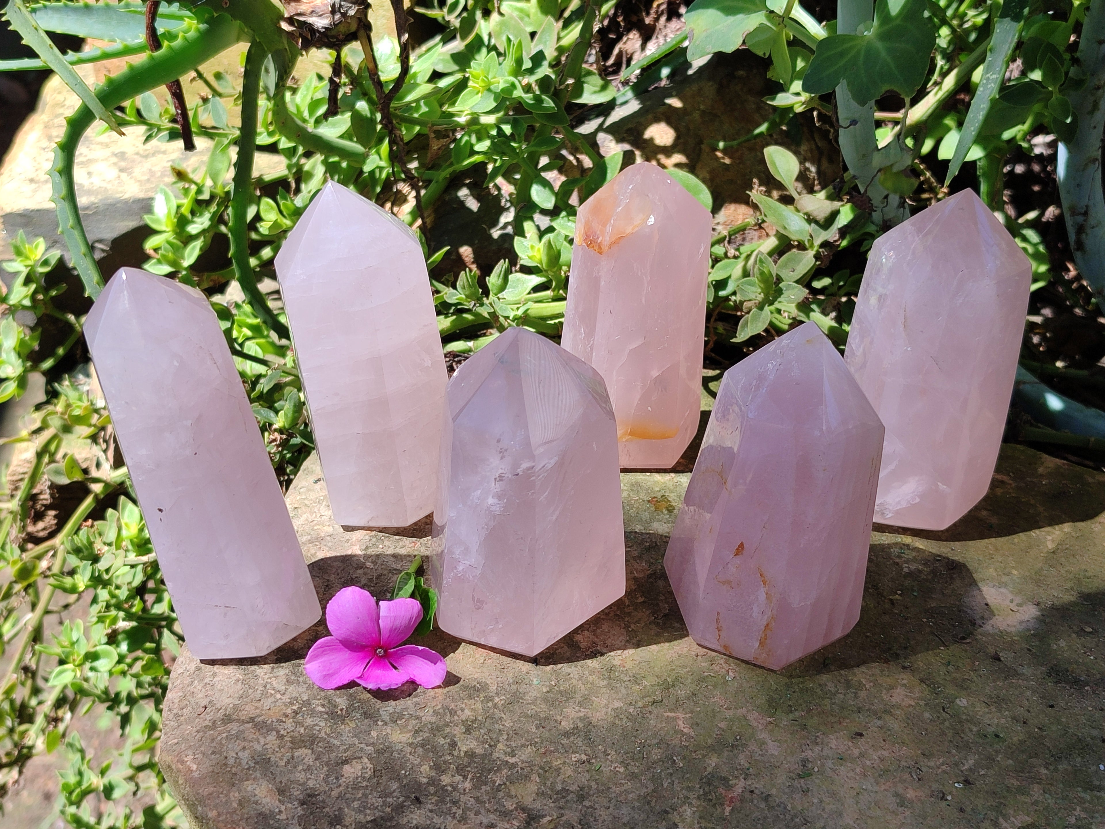 Polished Rose Quartz Crystal Points x 6 From Ambatondrazaka, Madagascar - Toprock Gemstones and Minerals 