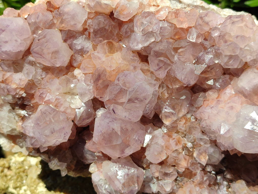 Natural Lilac Amethyst Spirit Quartz Cluster x 1 From Boekenhouthoek, South Africa - Toprock Gemstones and Minerals 