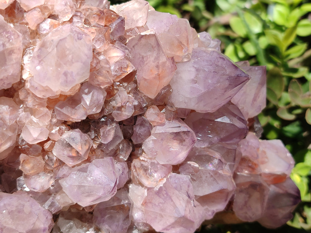 Natural Lilac Amethyst Spirit Quartz Cluster x 1 From Boekenhouthoek, South Africa - Toprock Gemstones and Minerals 
