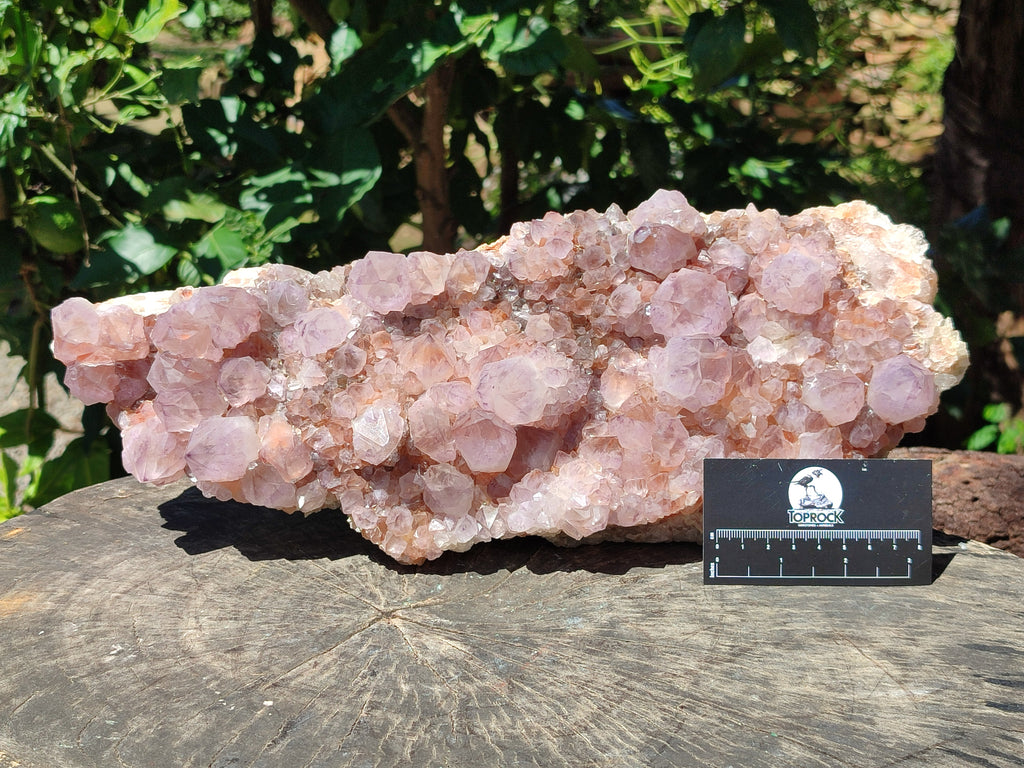Natural Lilac Amethyst Spirit Quartz Cluster x 1 From Boekenhouthoek, South Africa - Toprock Gemstones and Minerals 