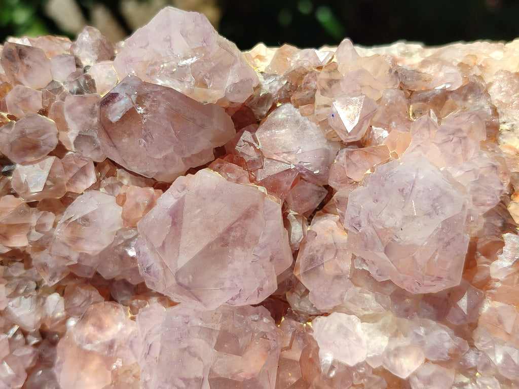 Natural Lilac Amethyst Spirit Quartz Cluster x 1 From Boekenhouthoek, South Africa - Toprock Gemstones and Minerals 