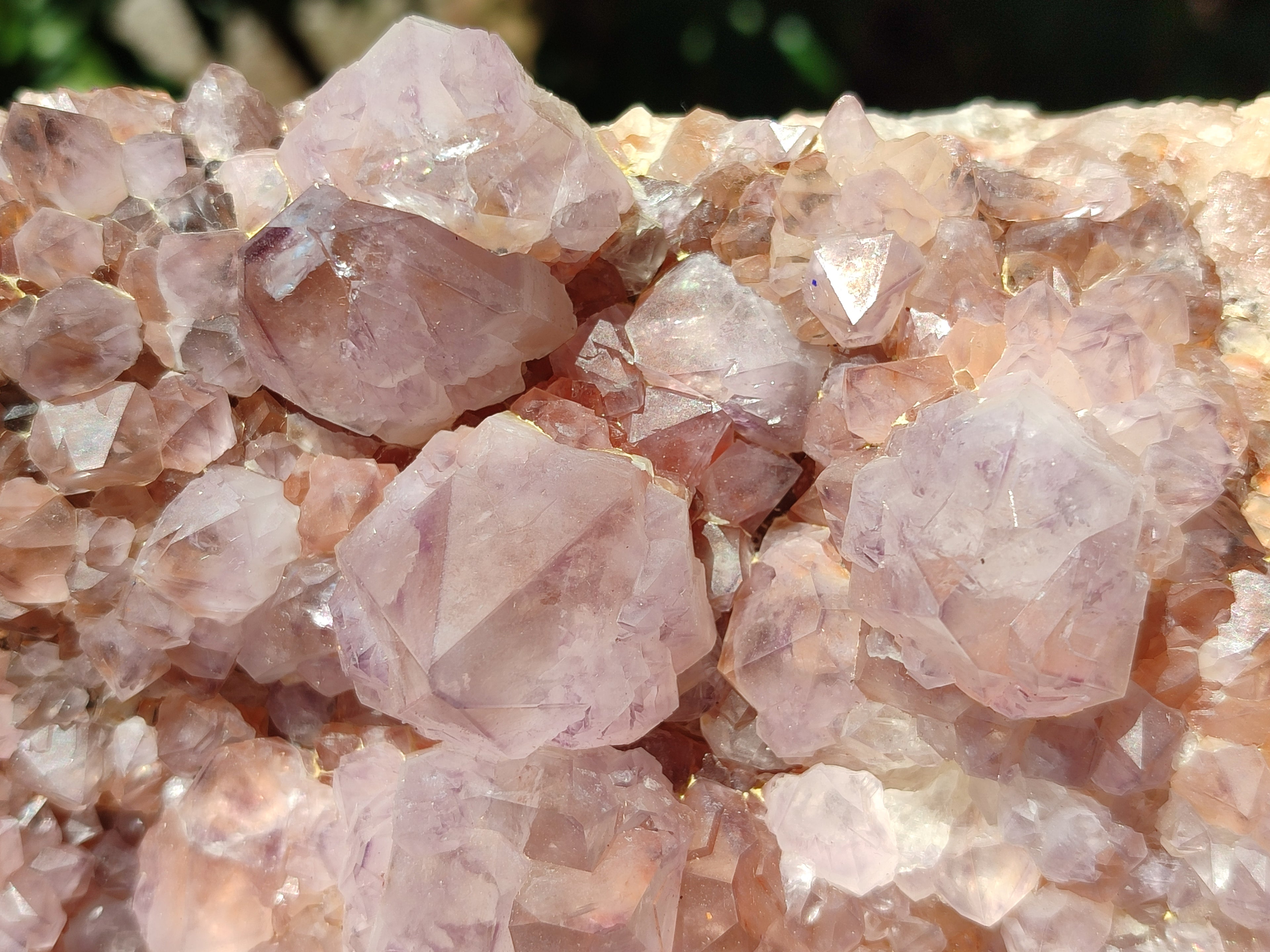 Natural Lilac Amethyst Spirit Quartz Cluster x 1 From Boekenhouthoek, South Africa - Toprock Gemstones and Minerals 