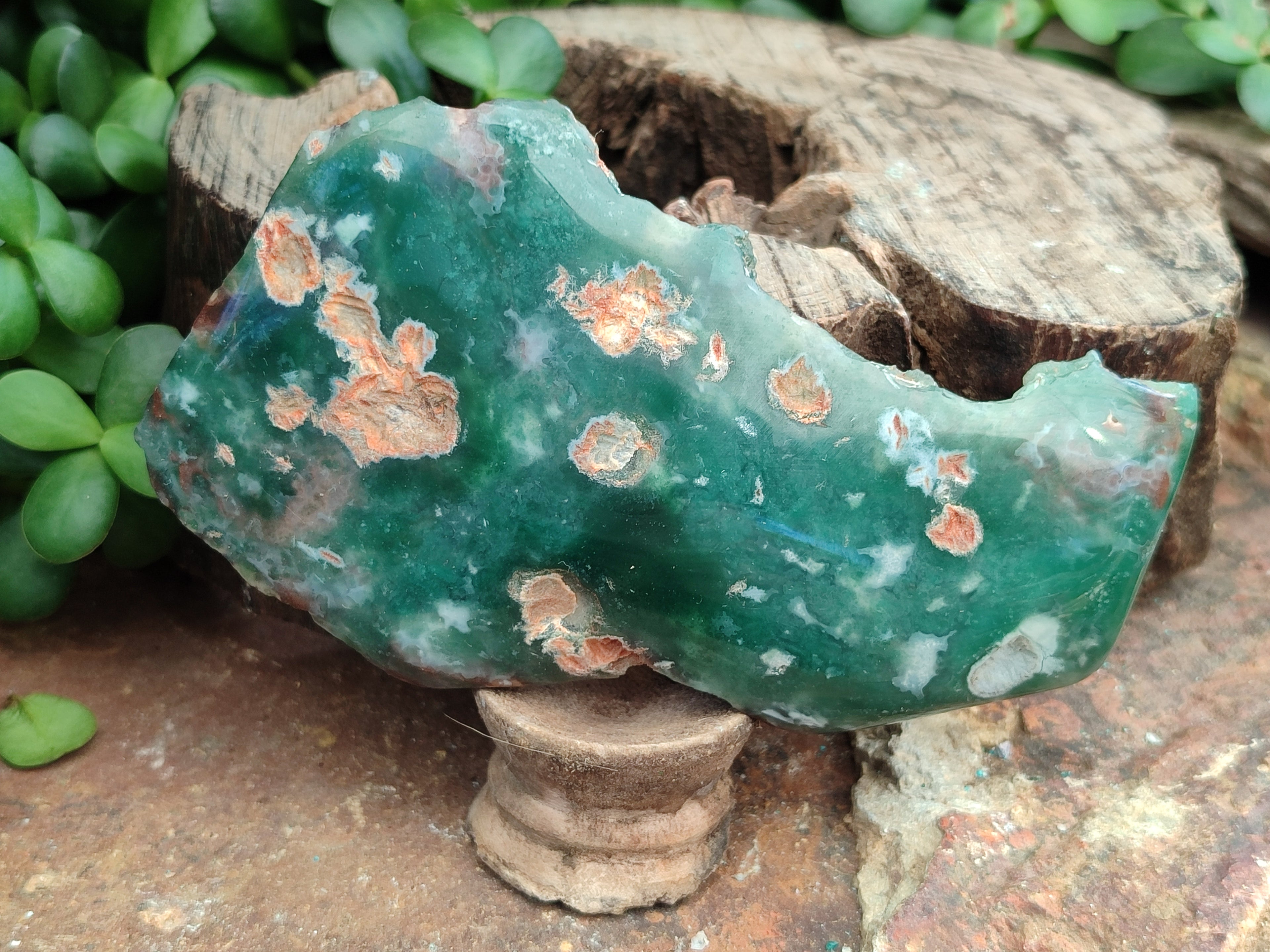 Polished On One Side Emerald Mtorolite Plates x 6 From Mutorashanga, Zimbabwe - Toprock Gemstones and Minerals 