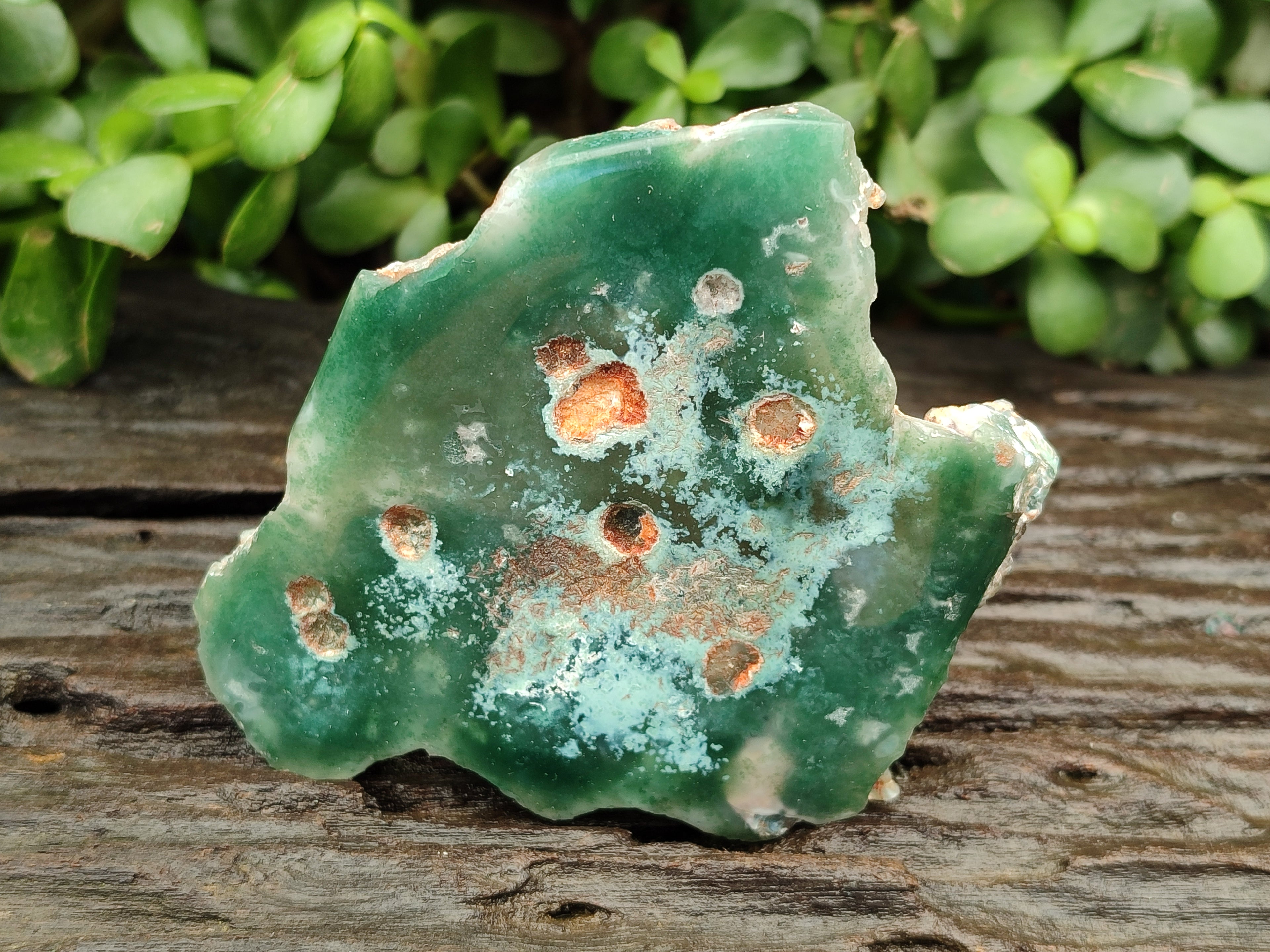 Polished On One Side Emerald Mtorolite Plates x 6 From Mutorashanga, Zimbabwe - Toprock Gemstones and Minerals 