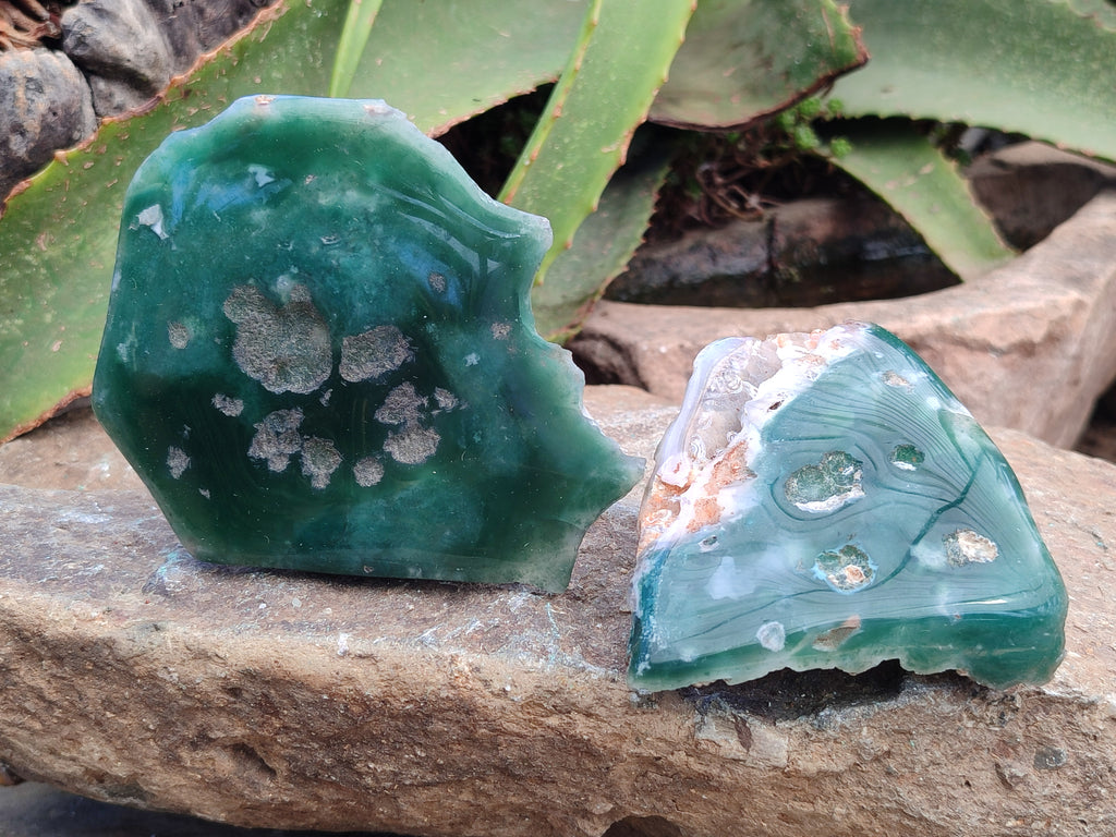 Polished On One Side Emerald Mtorolite Plates x 6 From Mutorashanga, Zimbabwe - Toprock Gemstones and Minerals 