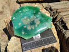 Polished On One Side Emerald Mtorolite Plates x 6 From Mutorashanga, Zimbabwe - Toprock Gemstones and Minerals 