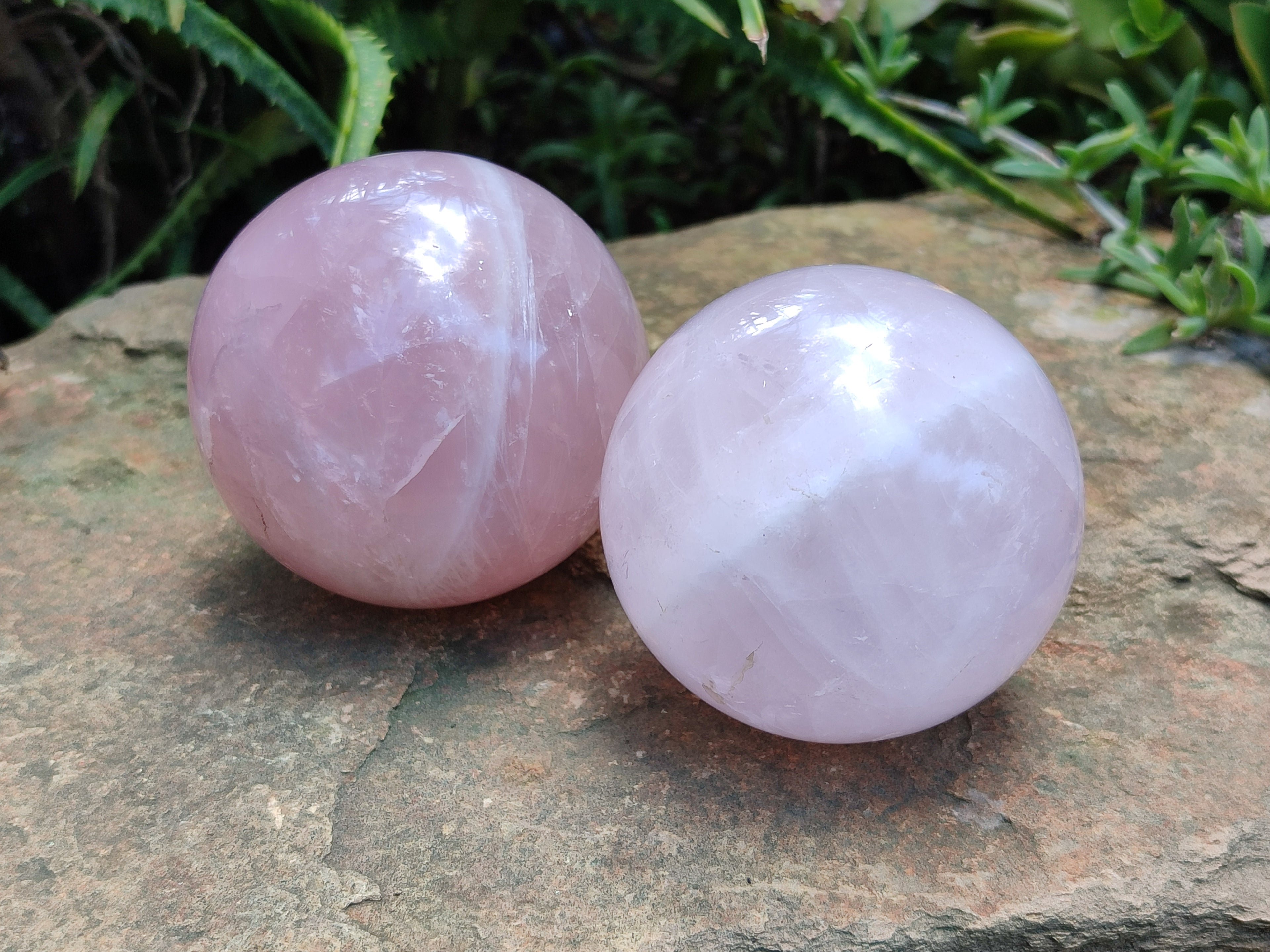 Polished Rose Quartz Spheres x 3 From Ambatondrazaka, Madagascar - Toprock Gemstones and Minerals 