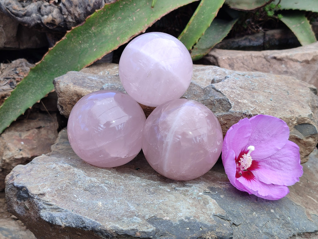 Polished Rose Quartz Spheres x 3 From Ambatondrazaka, Madagascar - Toprock Gemstones and Minerals 