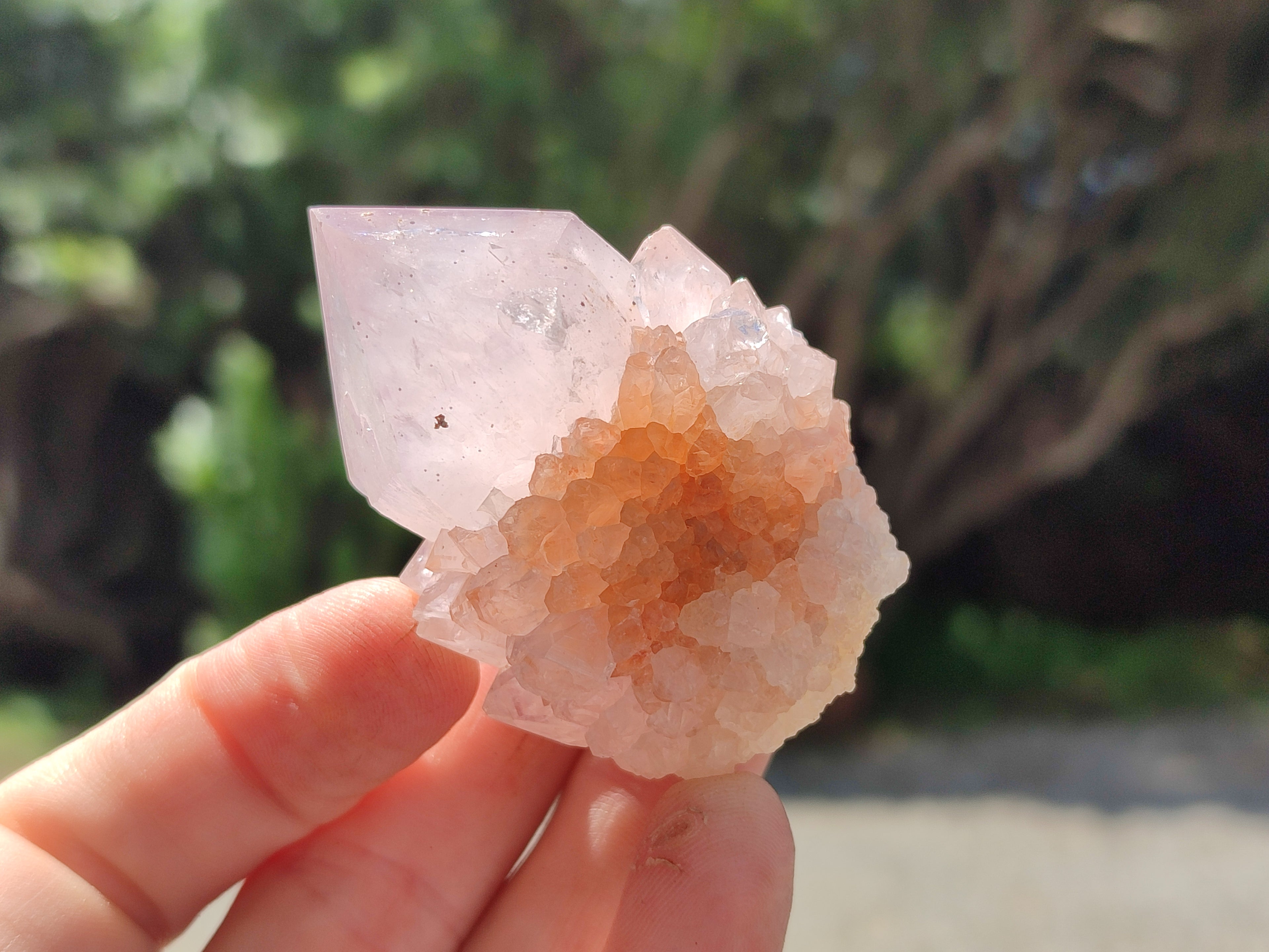 Natural Amethyst Spirit Quartz Clusters x 12 From Boekenhouthoek, South Africa - Toprock Gemstones and Minerals 