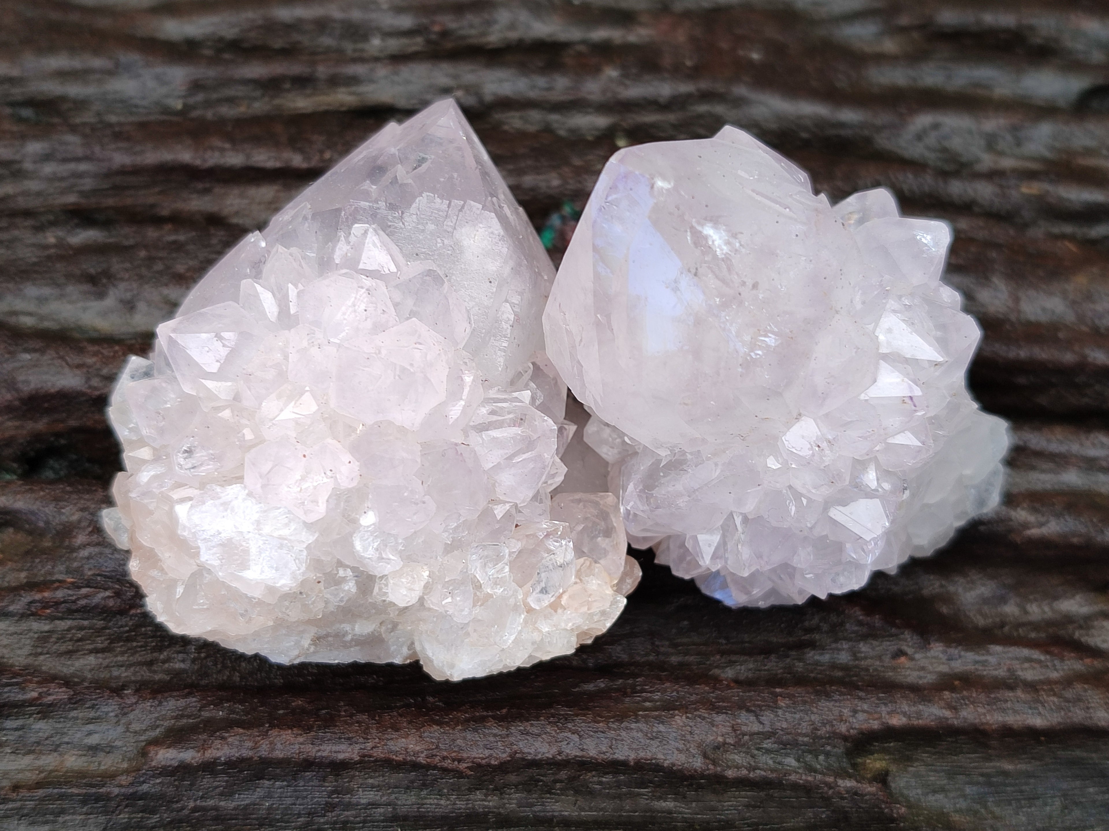 Natural Amethyst Spirit Quartz Clusters x 12 From Boekenhouthoek, South Africa - Toprock Gemstones and Minerals 