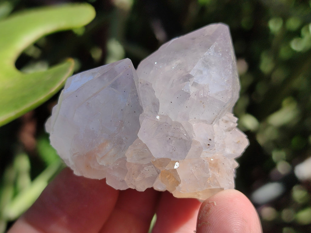 Natural Amethyst Spirit Quartz Clusters x 12 From Boekenhouthoek, South Africa - Toprock Gemstones and Minerals 