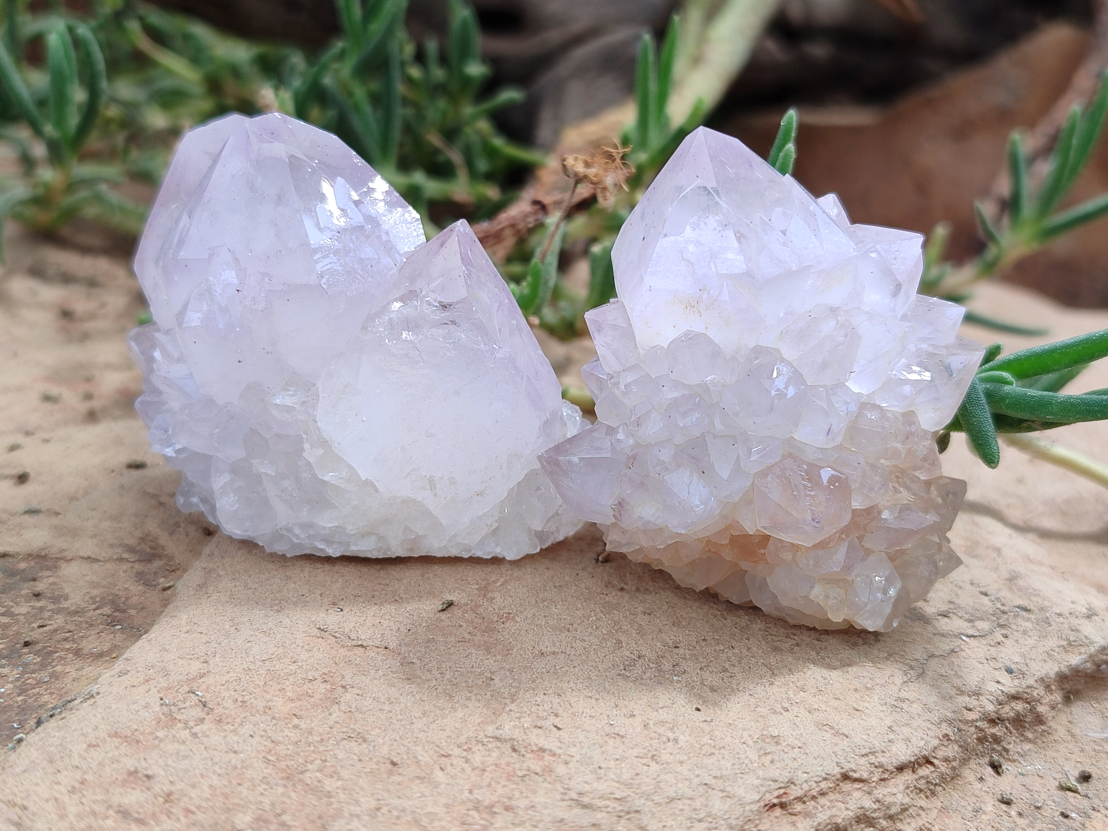 Natural Amethyst Spirit Quartz Clusters x 12 From Boekenhouthoek, South Africa - Toprock Gemstones and Minerals 
