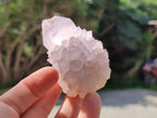 Natural Amethyst Spirit Quartz Clusters x 12 From Boekenhouthoek, South Africa - Toprock Gemstones and Minerals 