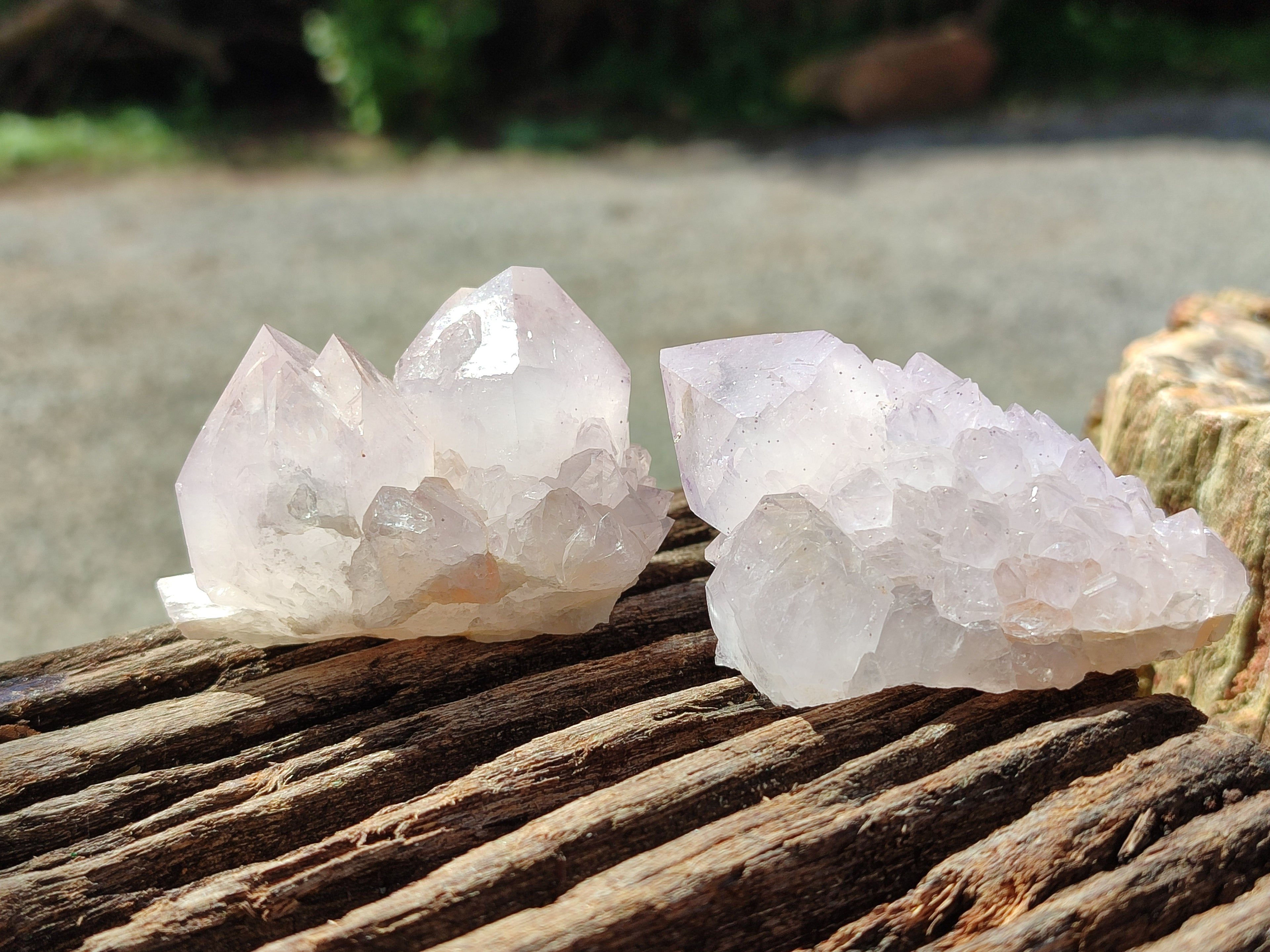 Natural Amethyst Spirit Quartz Clusters x 12 From Boekenhouthoek, South Africa - Toprock Gemstones and Minerals 