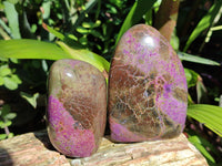 Polished Stichtite Standing Free Forms x 4 From Barberton, South Africa