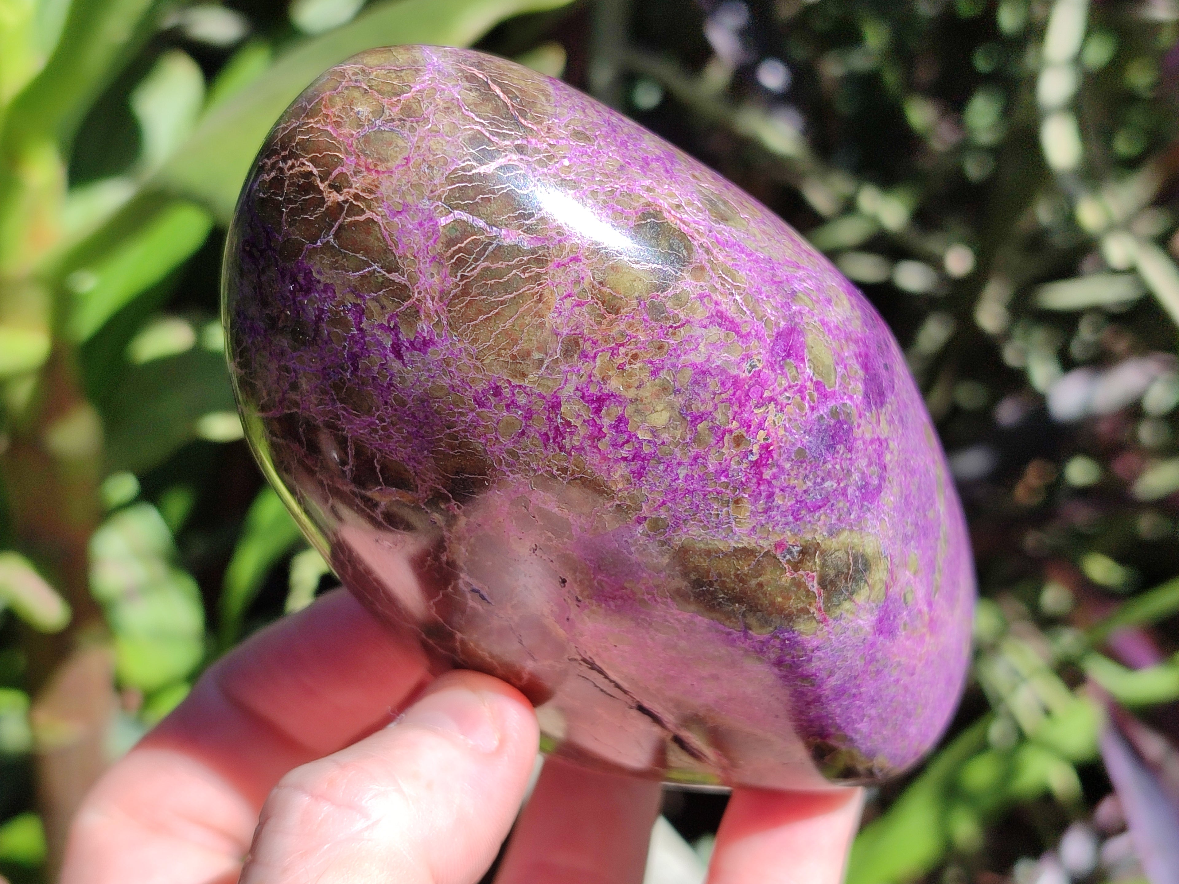 Polished Stichtite Standing Free Forms x 4 From Barberton, South Africa - Toprock Gemstones and Minerals 