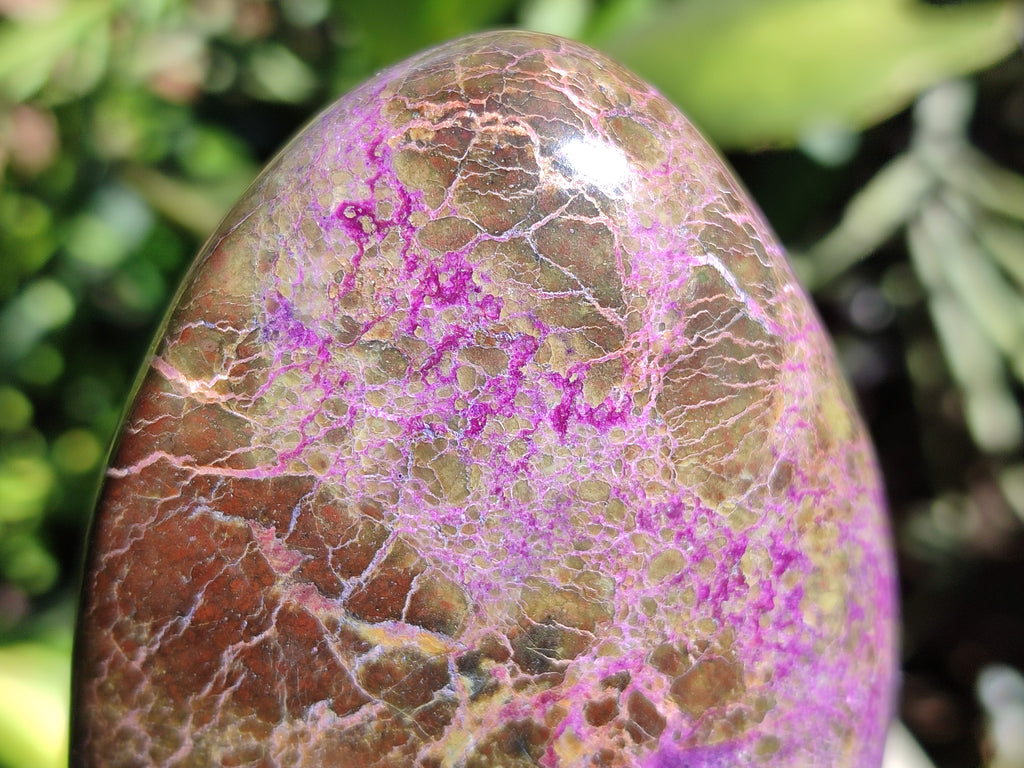 Polished Stichtite Standing Free Forms x 4 From Barberton, South Africa - Toprock Gemstones and Minerals 