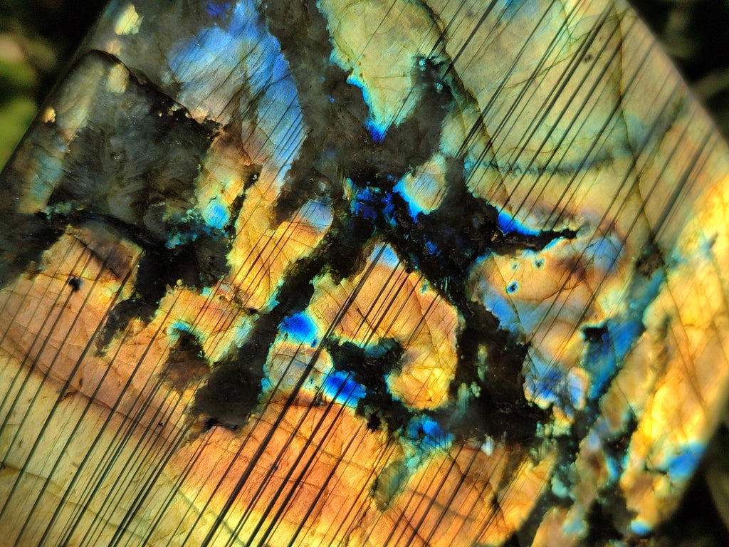 Polished Labradorite Standing Free Forms x 2 From Tulear, Madagascar - Toprock Gemstones and Minerals 