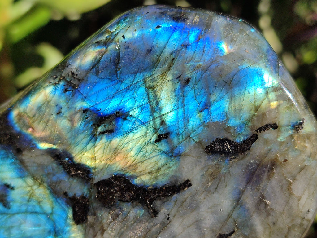 Polished Labradorite Standing Free Forms x 2 From Tulear, Madagascar - Toprock Gemstones and Minerals 