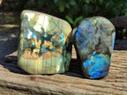 Polished Labradorite Standing Free Forms x 2 From Tulear, Madagascar - Toprock Gemstones and Minerals 