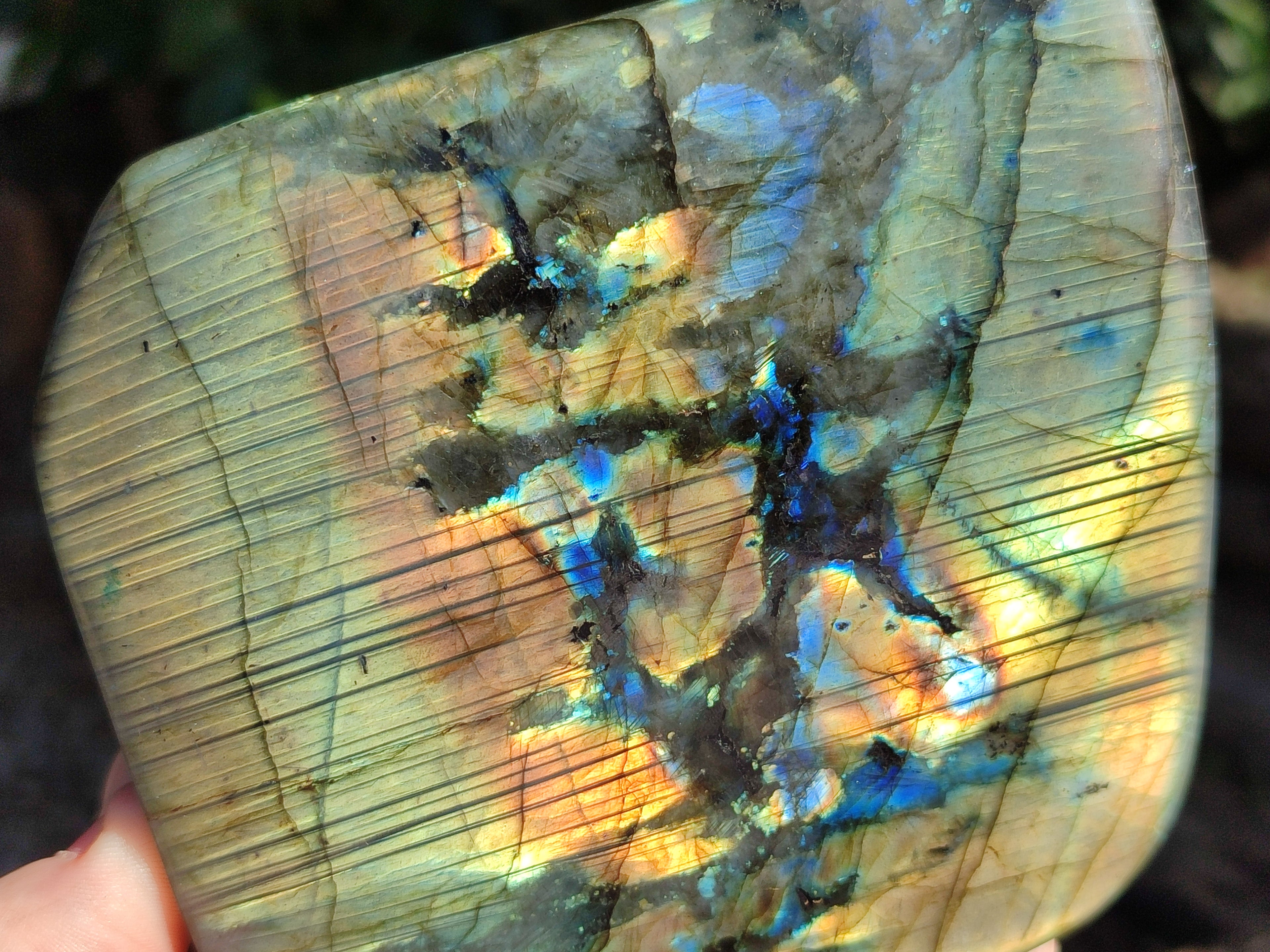 Polished Labradorite Standing Free Forms x 2 From Tulear, Madagascar - Toprock Gemstones and Minerals 