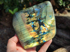 Polished Labradorite Standing Free Forms x 2 From Tulear, Madagascar - Toprock Gemstones and Minerals 