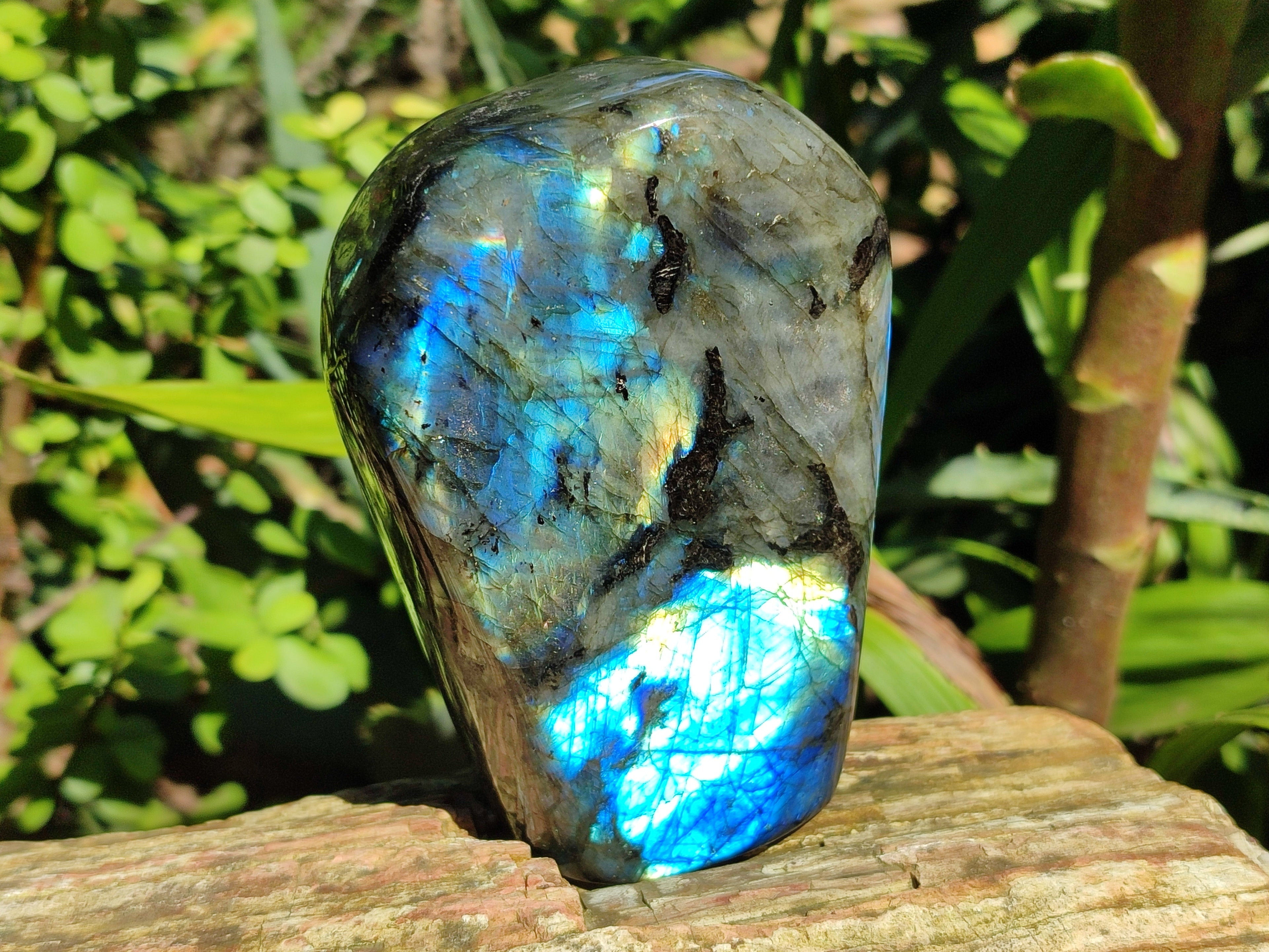 Polished Labradorite Standing Free Forms x 2 From Tulear, Madagascar - Toprock Gemstones and Minerals 