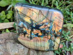 Polished Labradorite Standing Free Forms x 2 From Tulear, Madagascar - Toprock Gemstones and Minerals 