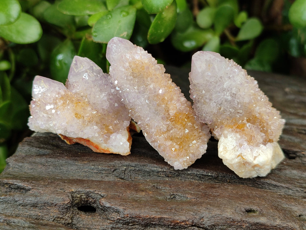 Natural Amethyst Spirit Quartz Clusters x 28 From Boekenhouthoek, South Africa - Toprock Gemstones and Minerals 