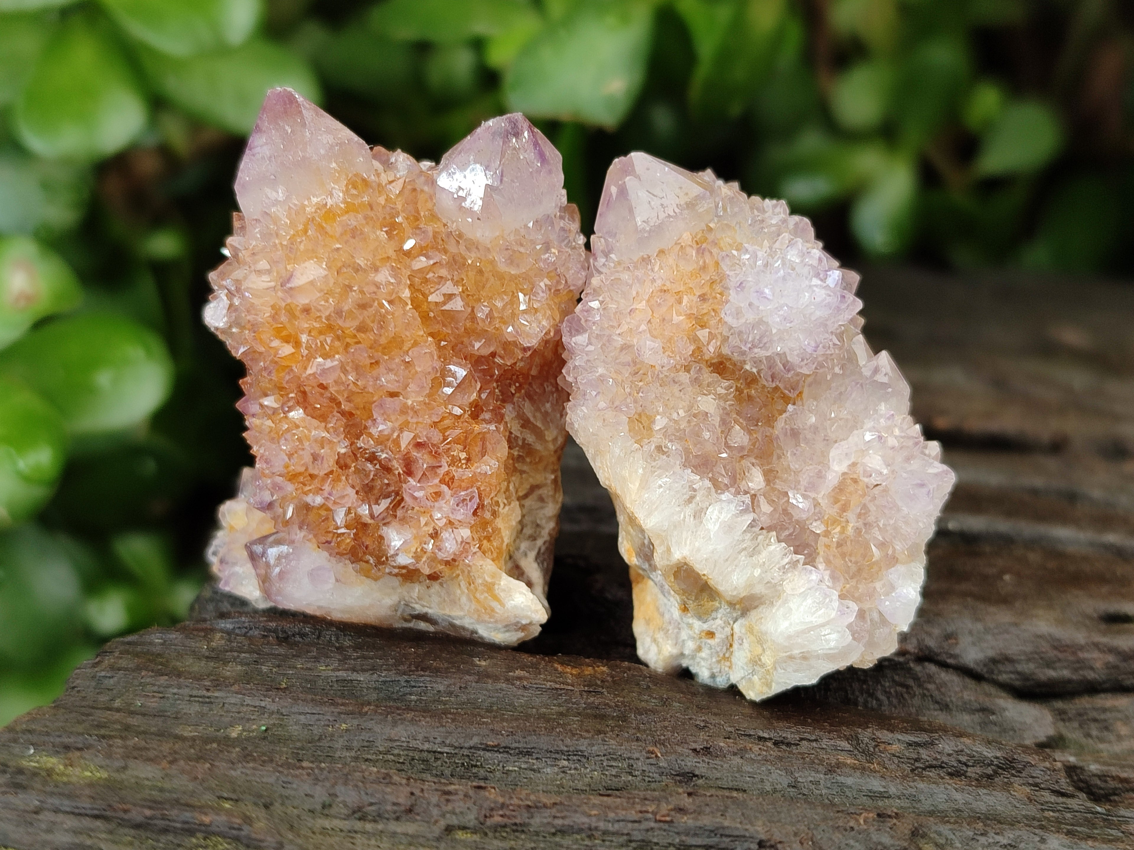 Natural Amethyst Spirit Quartz Clusters x 28 From Boekenhouthoek, South Africa - Toprock Gemstones and Minerals 