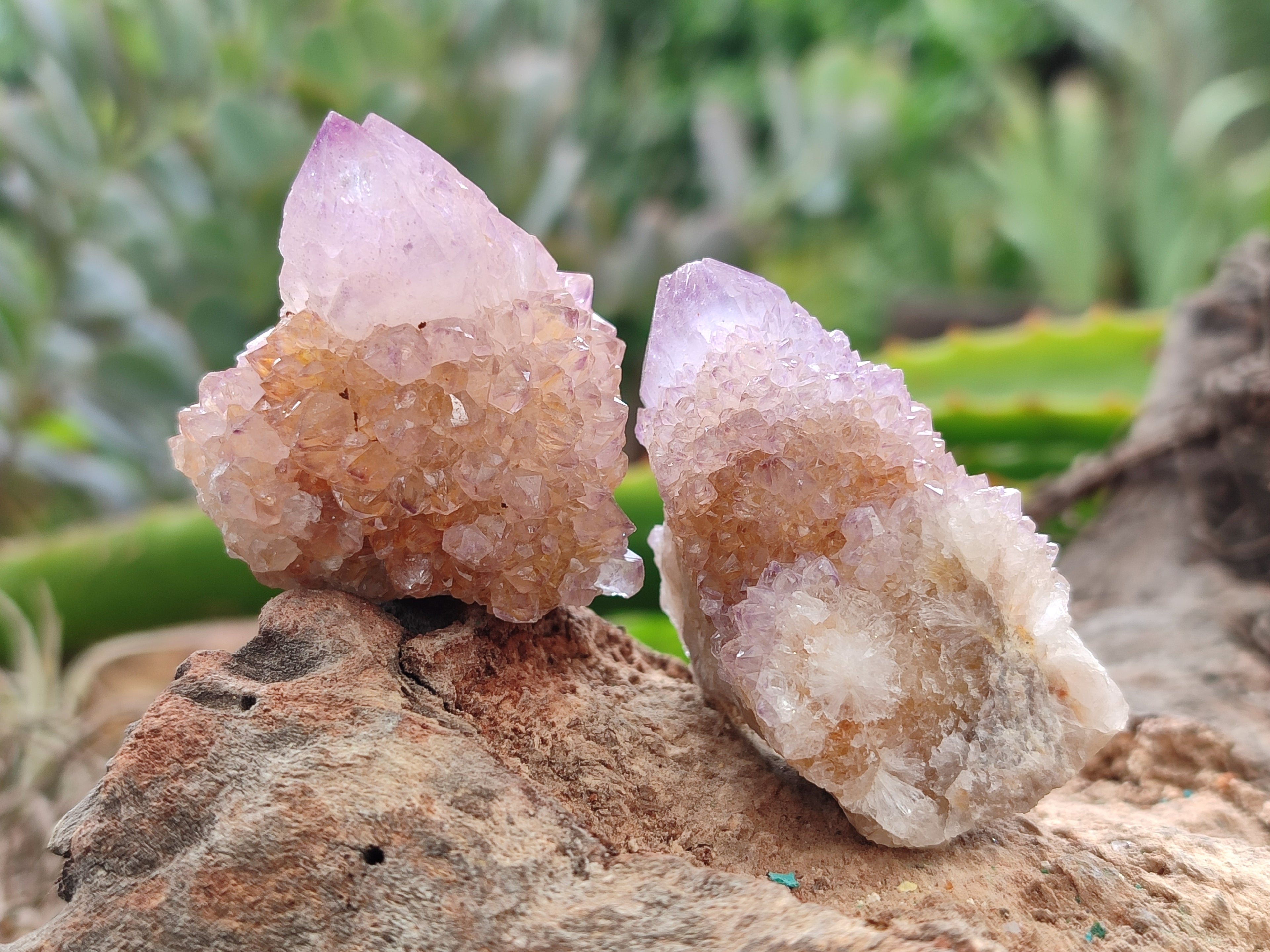 Natural Amethyst Spirit Quartz Clusters x 28 From Boekenhouthoek, South Africa - Toprock Gemstones and Minerals 