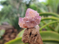 Natural Amethyst Spirit Quartz Clusters x 28 From Boekenhouthoek, South Africa