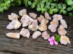Natural Amethyst Spirit Quartz Clusters x 28 From Boekenhouthoek, South Africa - Toprock Gemstones and Minerals 