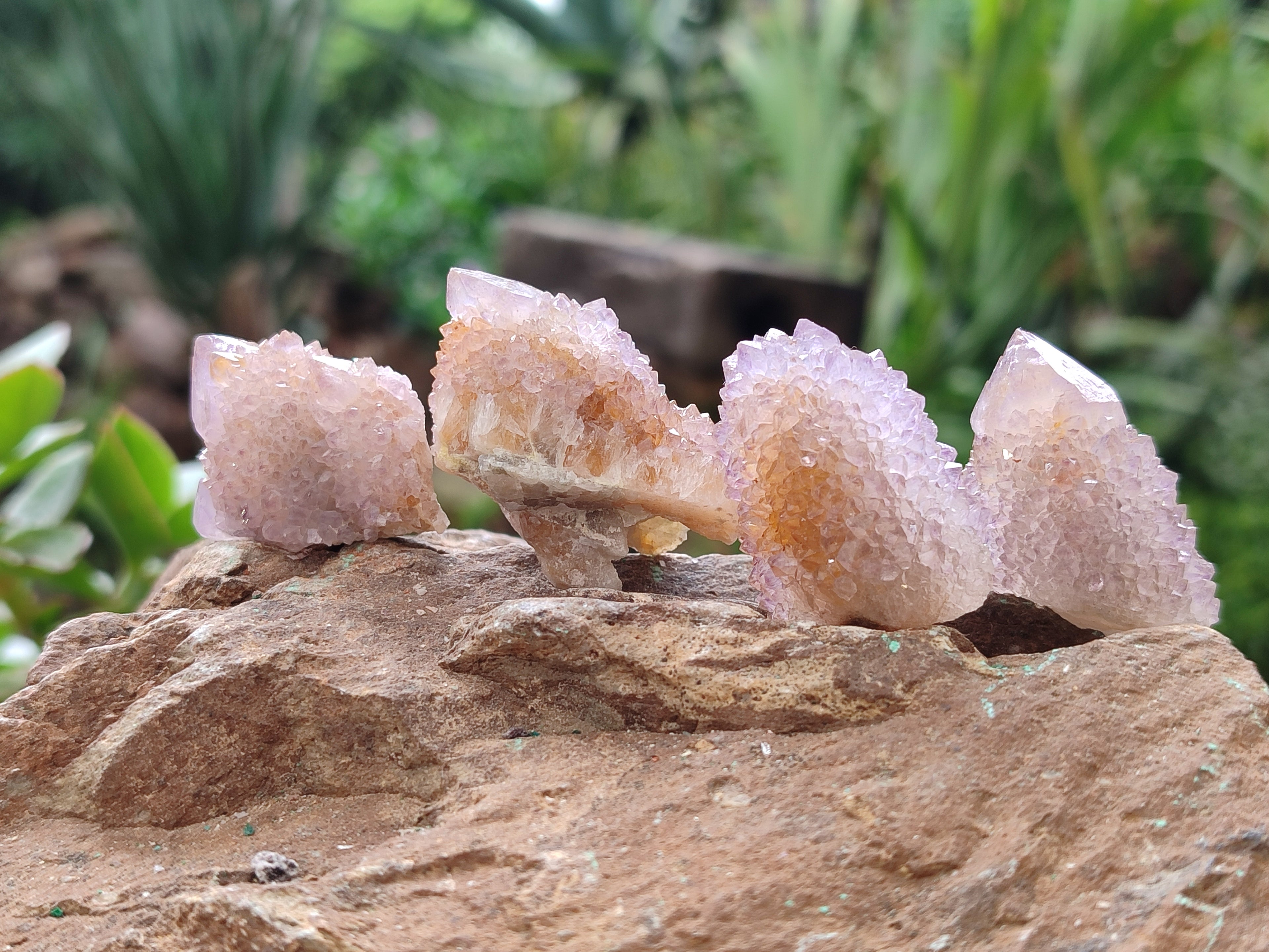 Natural Amethyst Spirit Quartz Clusters x 28 From Boekenhouthoek, South Africa - Toprock Gemstones and Minerals 