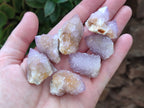 Natural Amethyst Spirit Quartz Clusters x 28 From Boekenhouthoek, South Africa - Toprock Gemstones and Minerals 