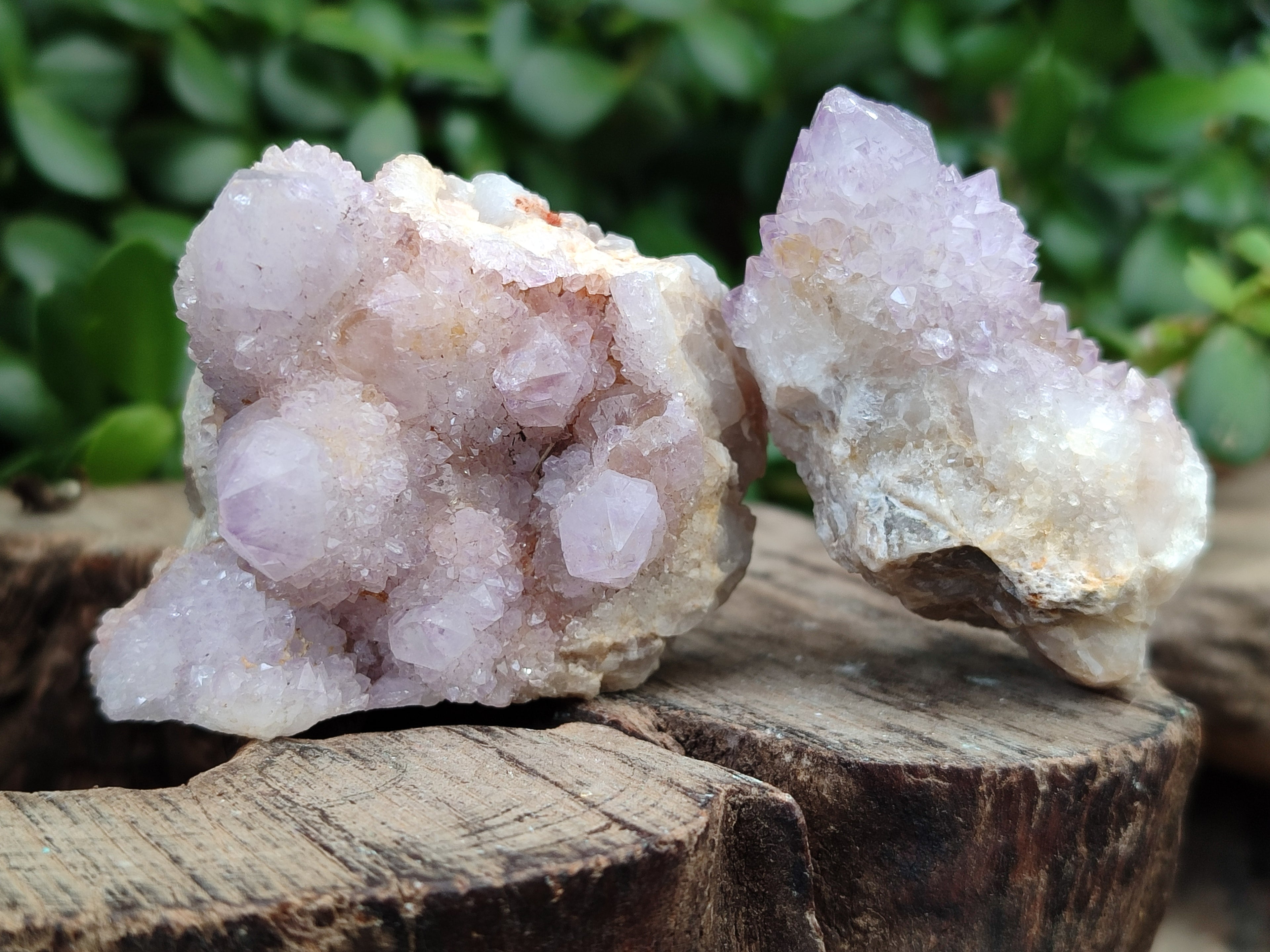 Natural Amethyst Spirit Quartz Clusters x 28 From Boekenhouthoek, South Africa - Toprock Gemstones and Minerals 