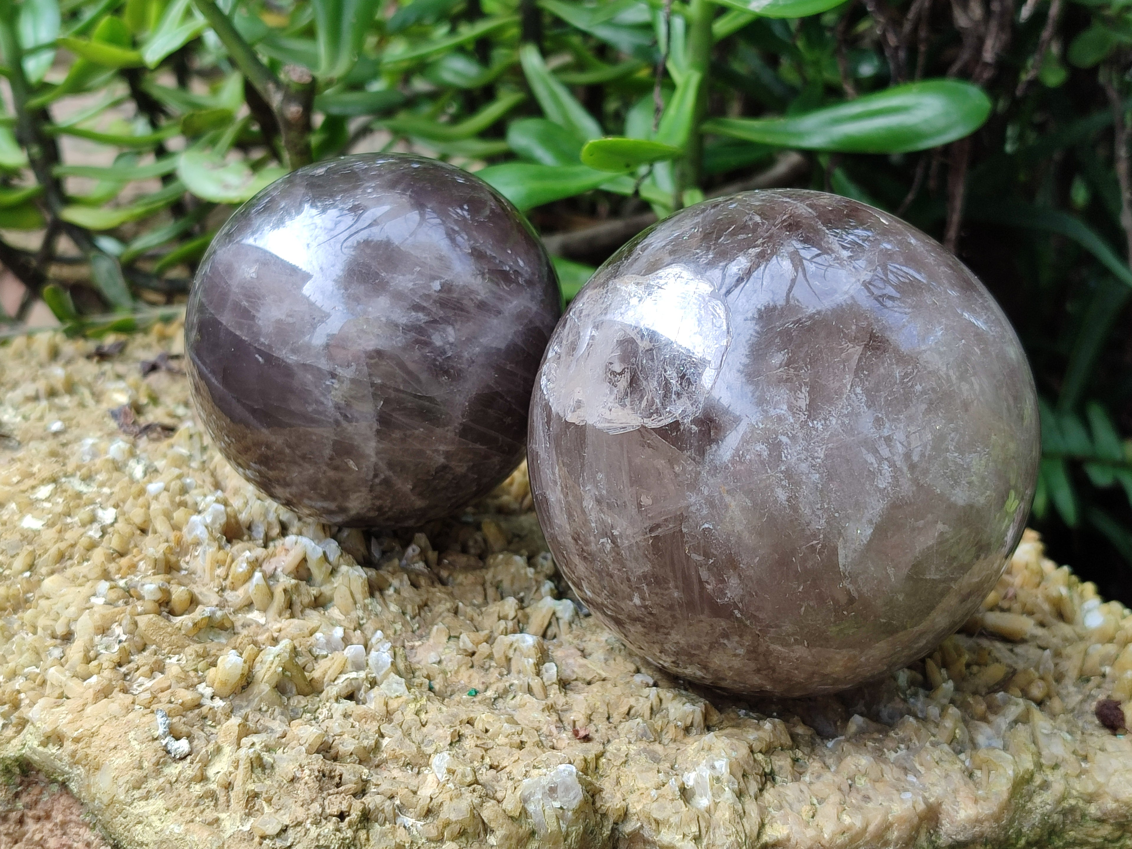 Polished Smokey Quartz Spheres / Balls x 2 From Madagascar - Toprock Gemstones and Minerals 