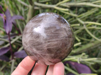 Polished Smokey Quartz Spheres / Balls x 2 From Madagascar