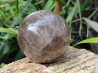 Polished Smokey Quartz Spheres / Balls x 2 From Madagascar