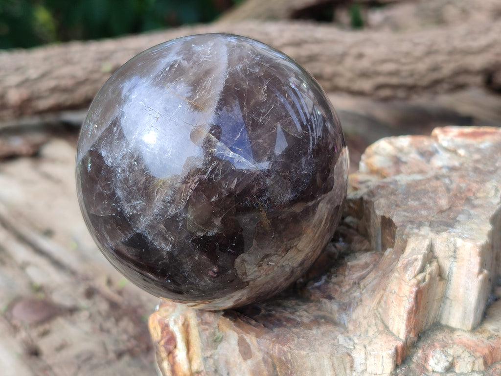 Polished Smokey Quartz Spheres / Balls x 2 From Madagascar - Toprock Gemstones and Minerals 