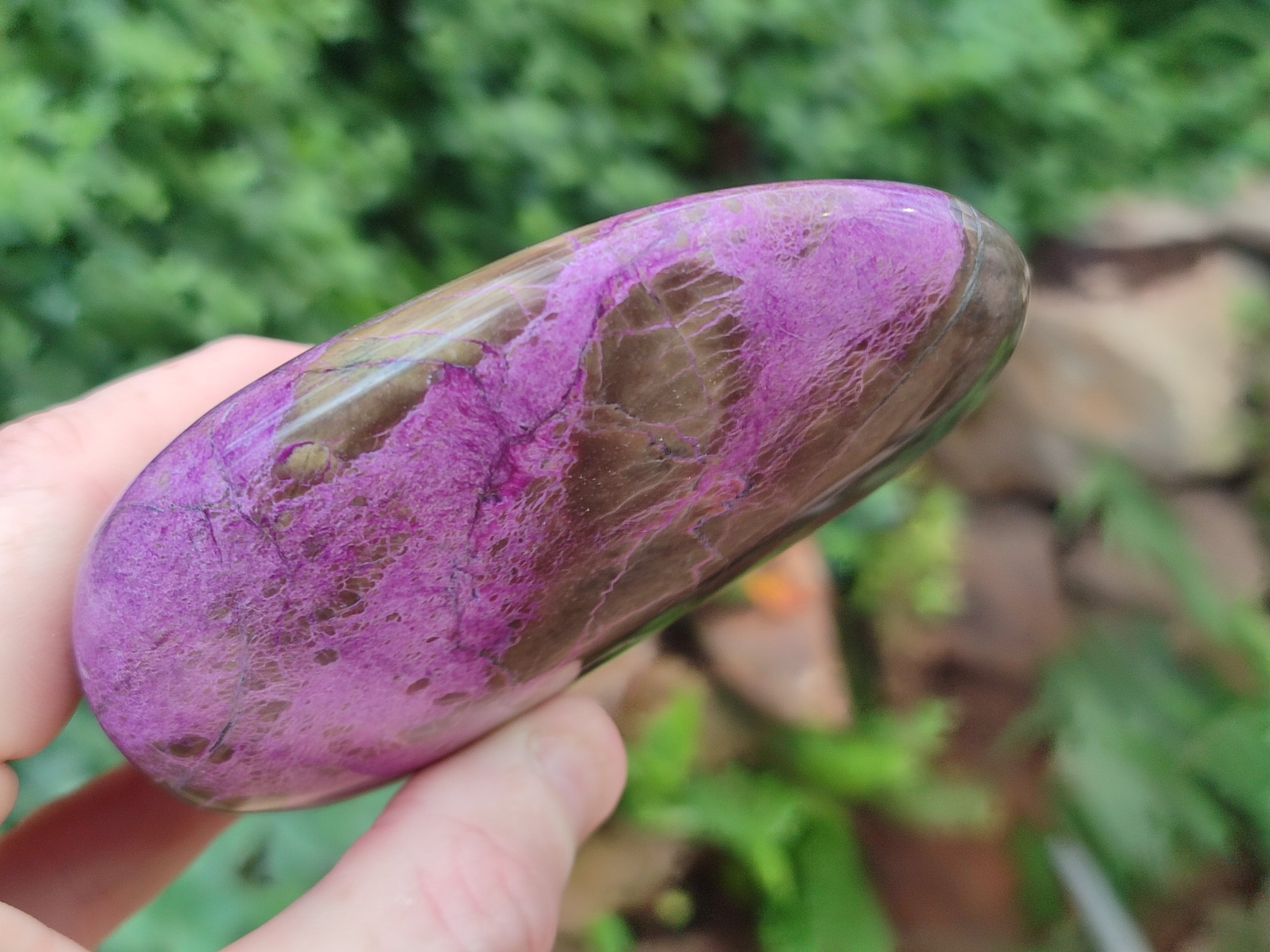 Polished Stichtite Standing Free Forms x 4 From Barberton, South Africa - Toprock Gemstones and Minerals 