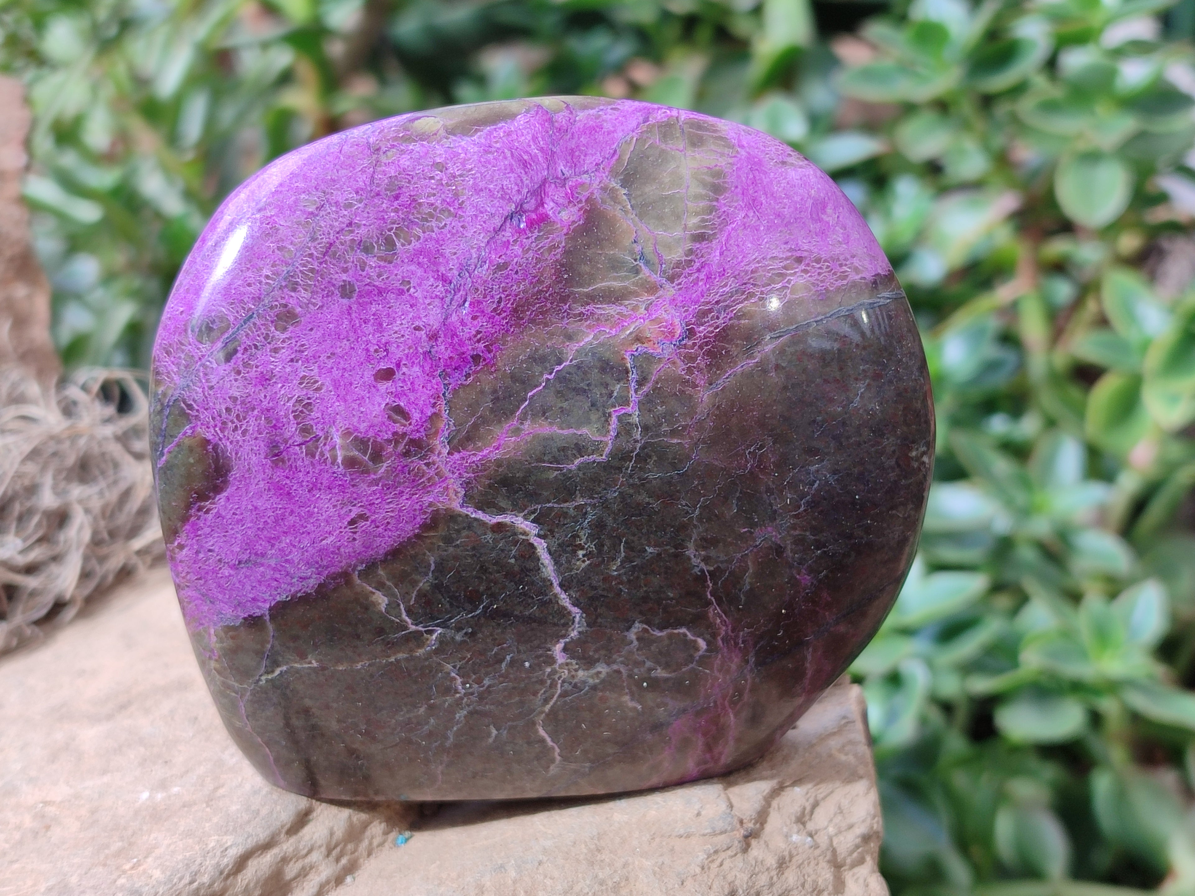 Polished Stichtite Standing Free Forms x 4 From Barberton, South Africa - Toprock Gemstones and Minerals 